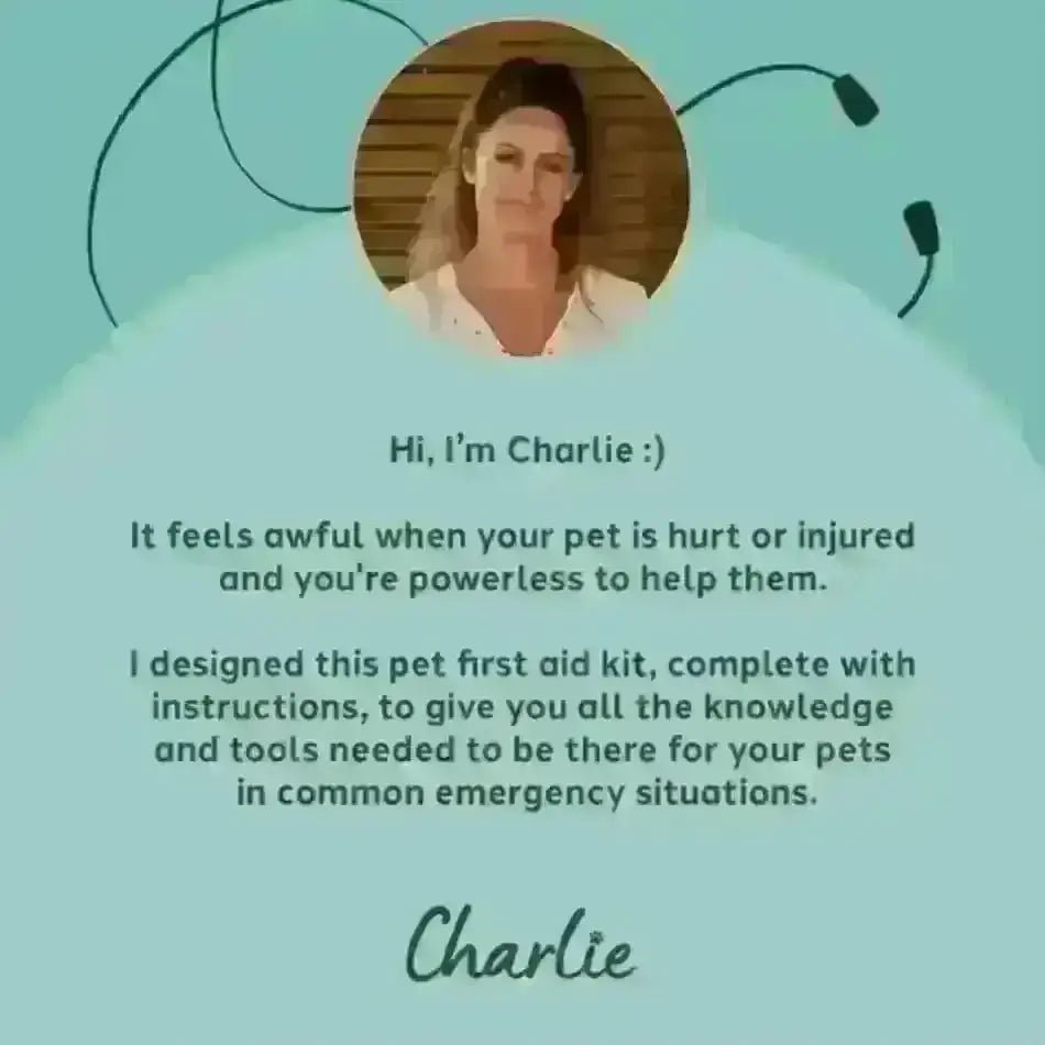 Charlie the Vet Pet First Aid Kit - Natural Shop