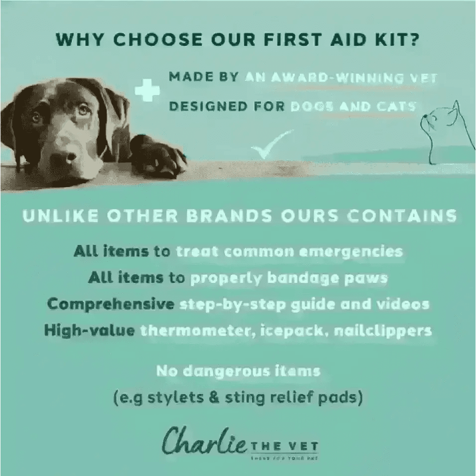 Charlie the Vet Pet First Aid Kit - Natural Shop