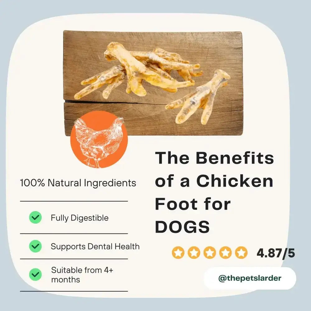 Natural chicken feet dog chew for dogs 4+ months, fully digestible and natural