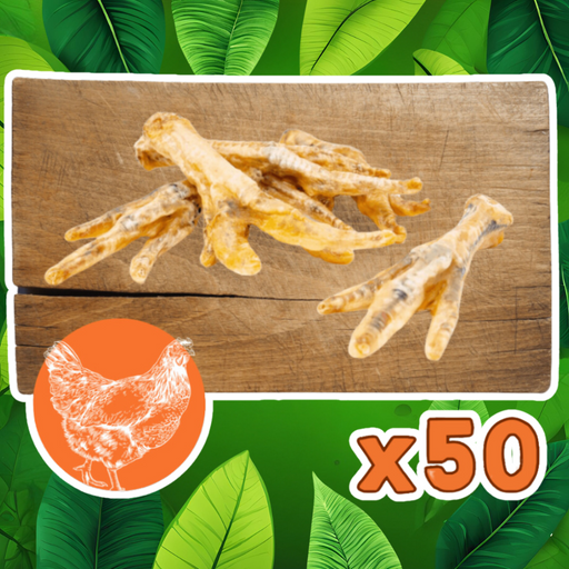 Chicken Foot natural meat dog chew. A Natural Dog Chew Available At The Pets Larder Natural Pet Shop.