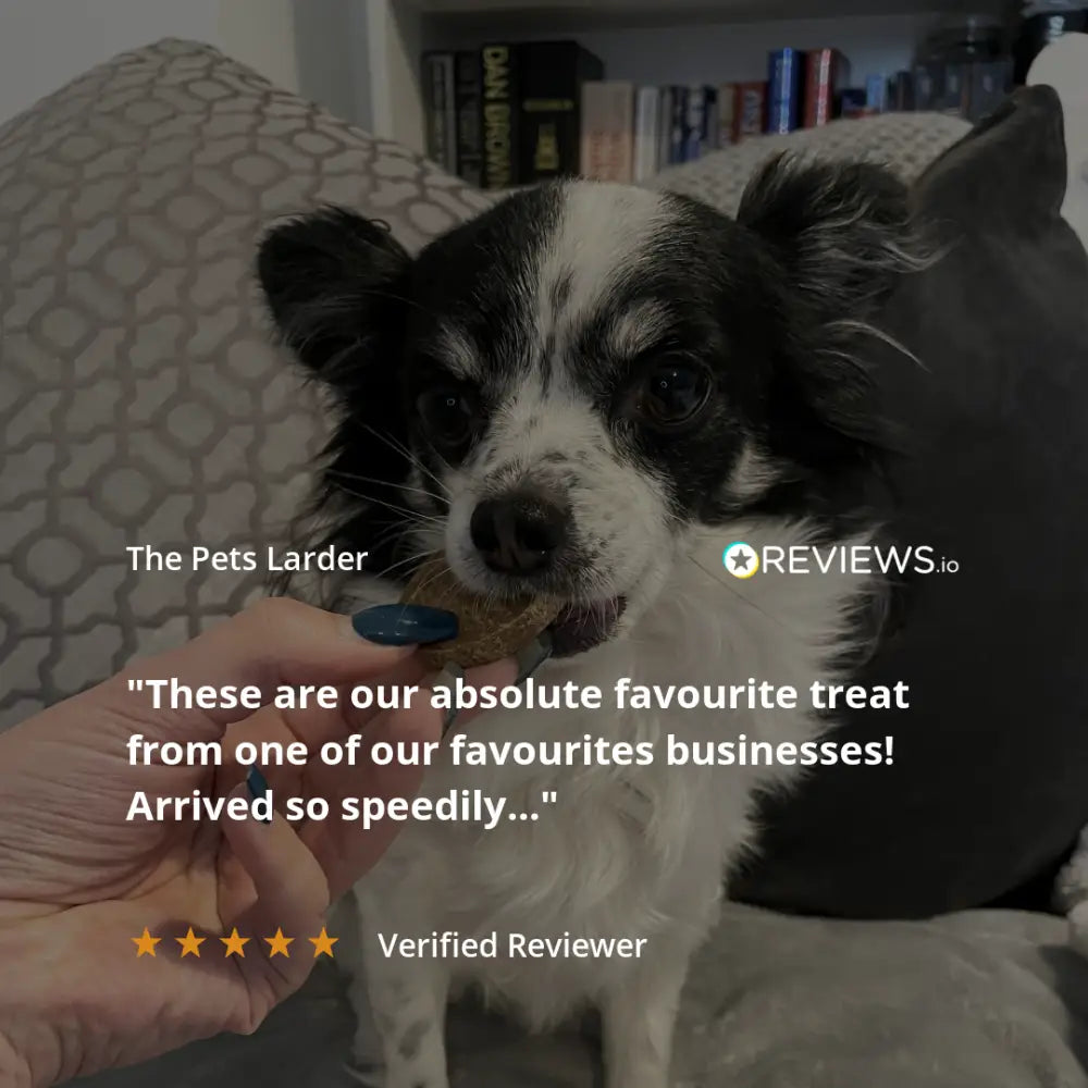 Pets Larder Chicken natural meat chew bag with black and white paw print ceramic dispenser