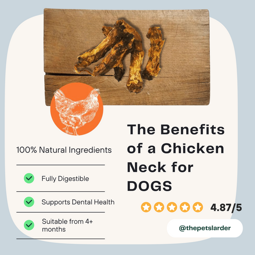 Chicken Neck Natural Meat Chew For Dogs - Natural Dog Chew