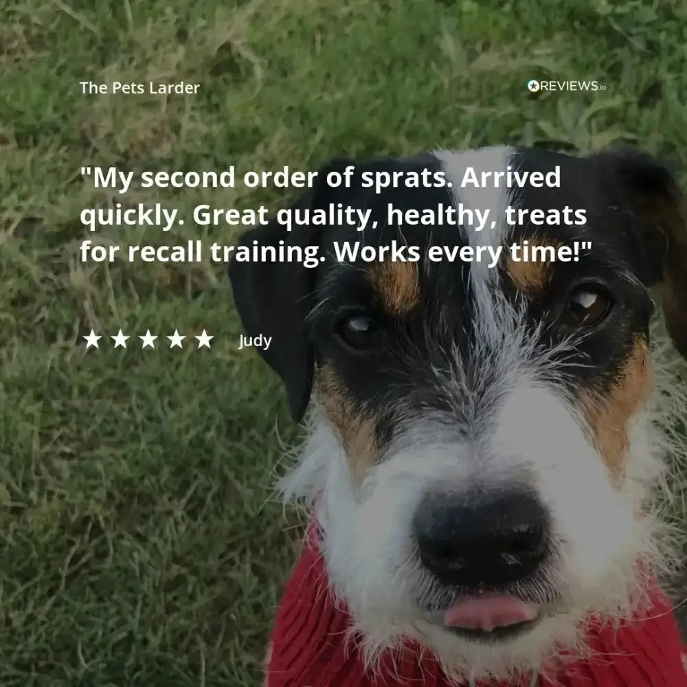 Red sweater dog shirt with Pets Larder chicken, turmeric sausages offer