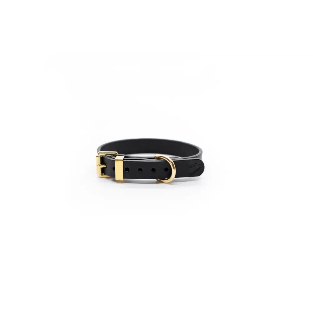 Classic Leather Collar - Dog collar