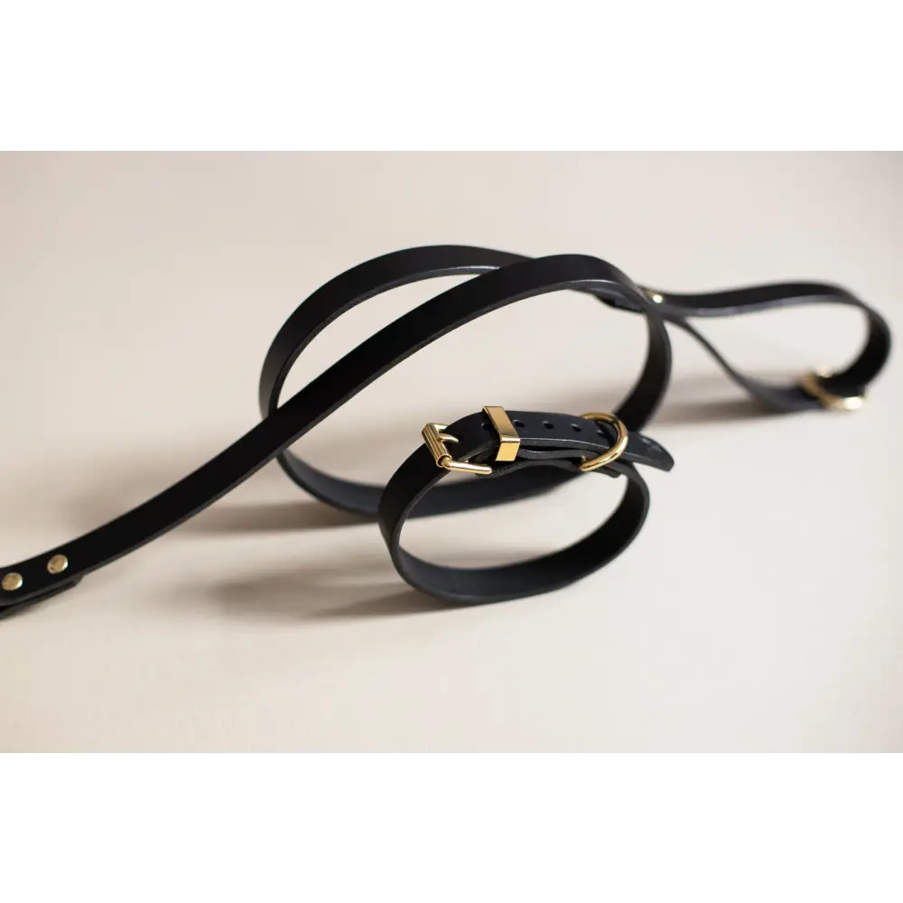 Classic Leather Collar - XX-Small / Black - Dog collar