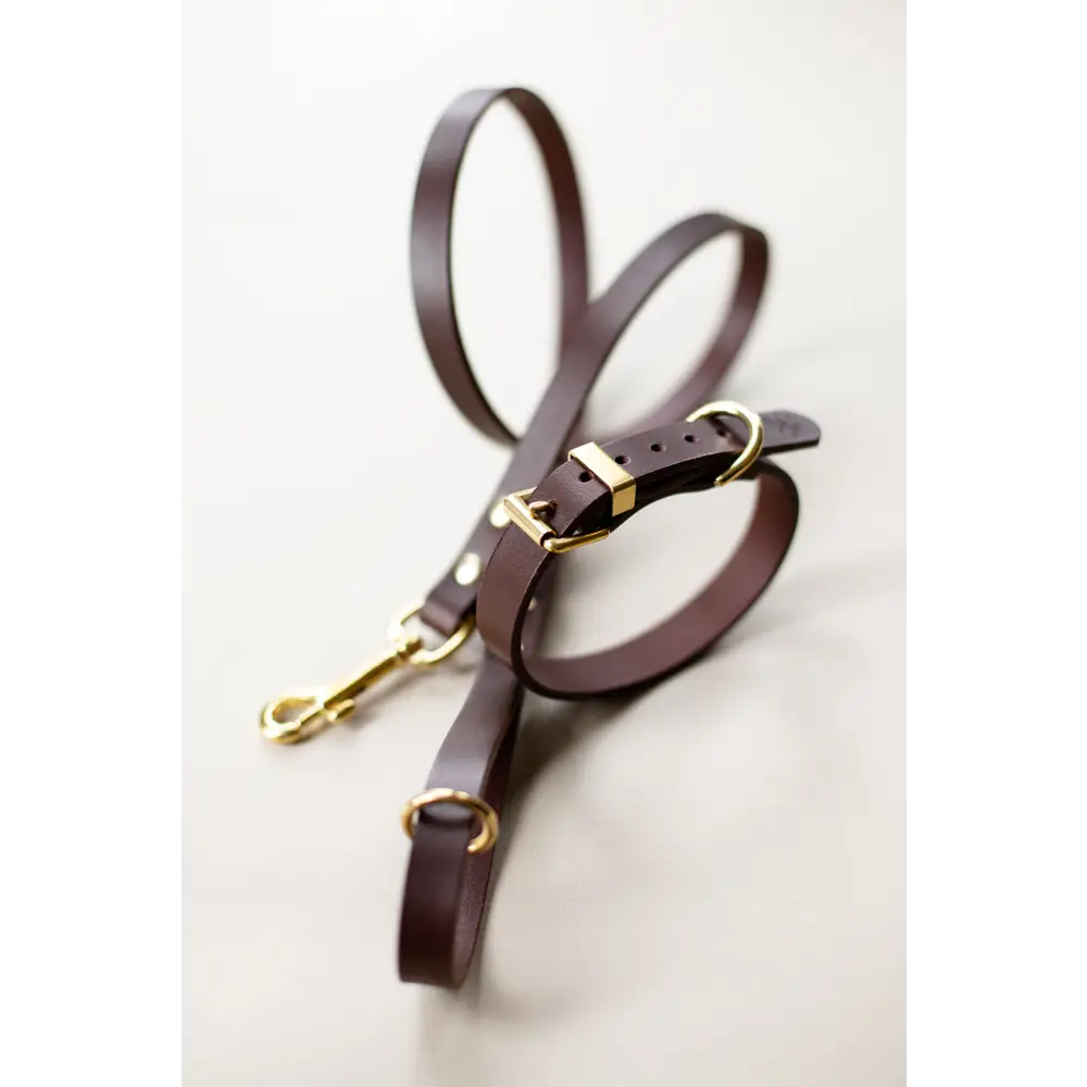 Classic Leather Collar - XX-Small / Chestnut - Dog collar