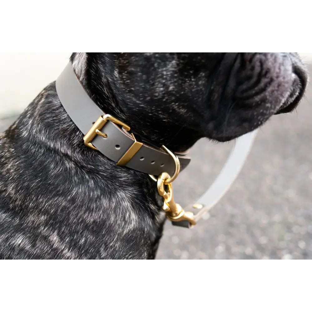 Classic Leather Collar - XX-Small / Clay - Dog collar