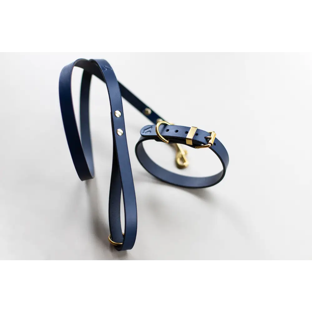 Classic Leather Collar - XX-Small / Navy - Dog collar