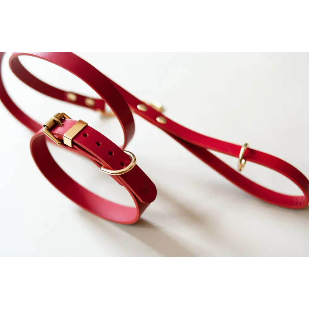 Classic Leather Collar - XX-Small / Red - Dog collar