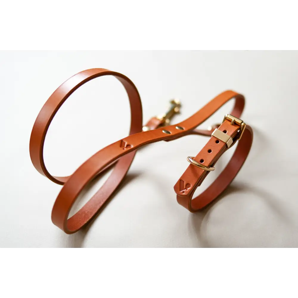 Classic Leather Collar - XX-Small / Tan - Dog collar
