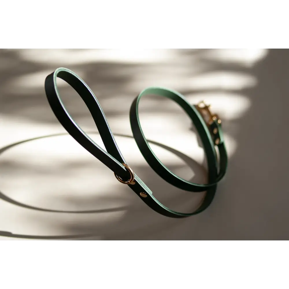 Classic Leather Lead - Dog leash