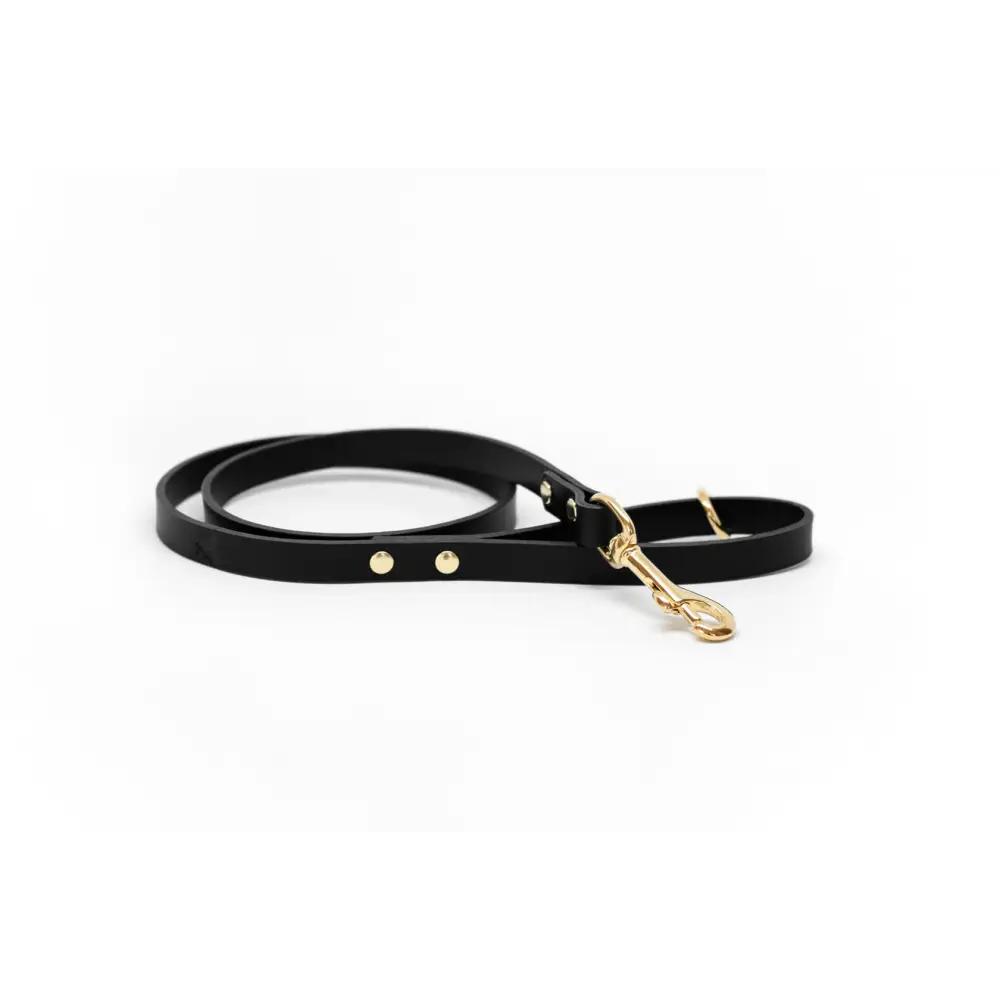 Classic Leather Lead - Dog leash