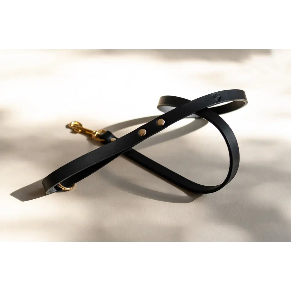 Classic Leather Lead - Dog leash