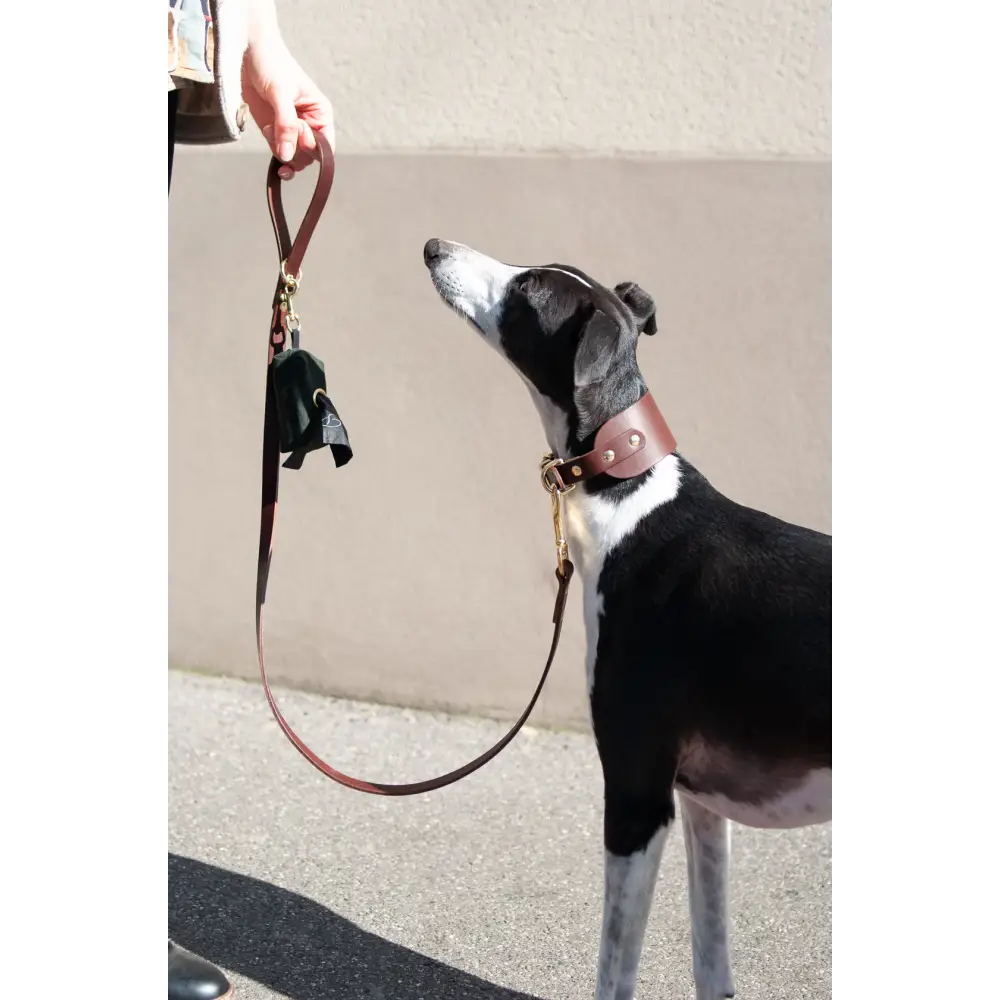 Classic Leather Lead - Slim / Chestnut - Dog leash