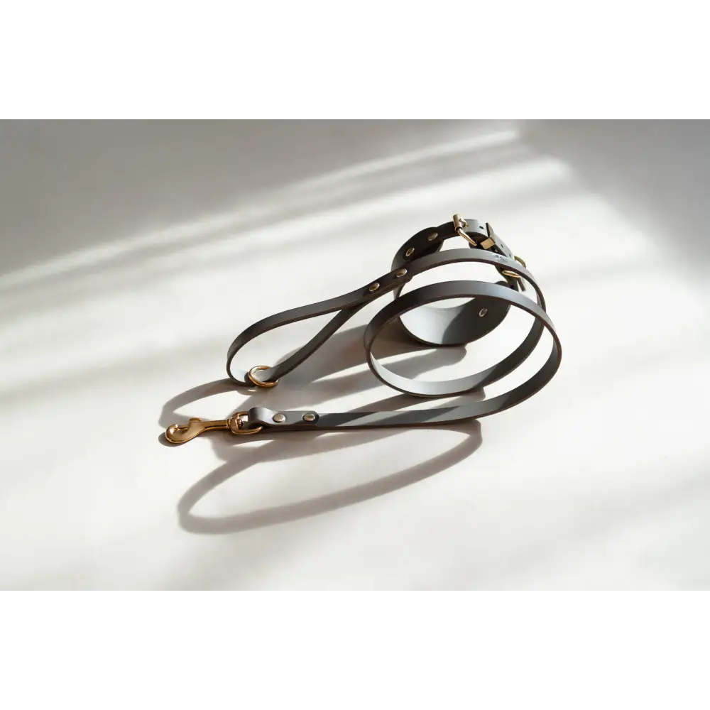 Classic Leather Lead - Slim / Clay - Dog leash