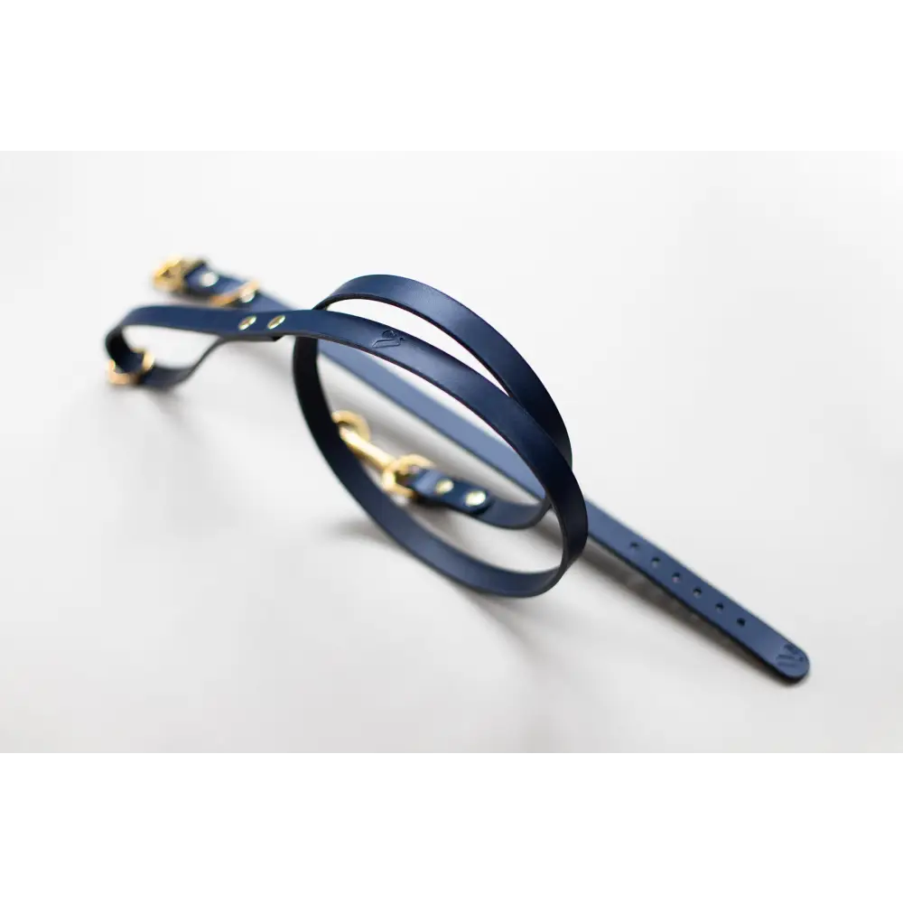 Classic Leather Lead - Slim / Navy - Dog leash