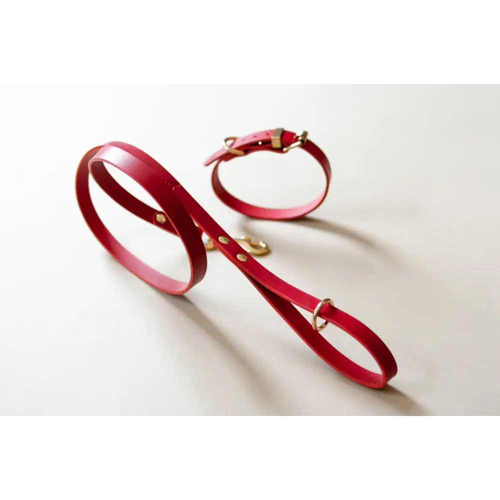 Classic Leather Lead - Slim / Red - Dog leash