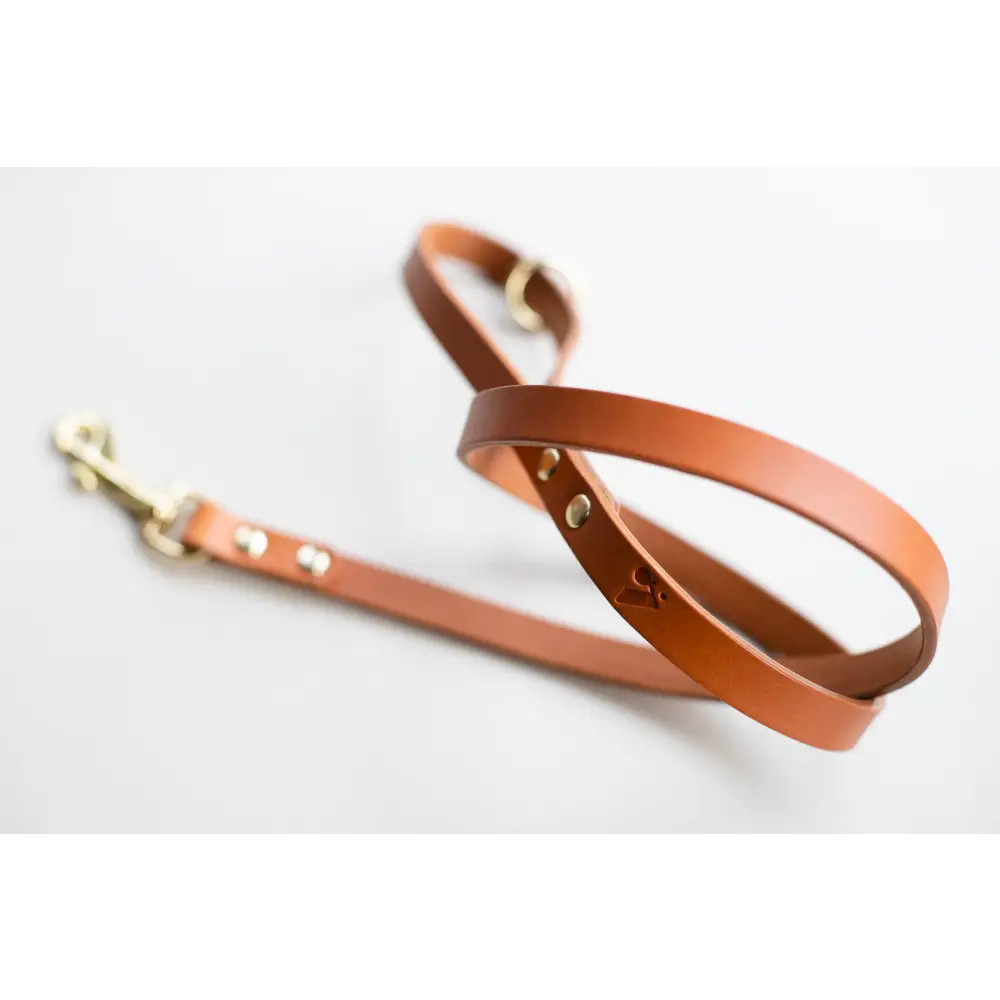 Classic Leather Lead - Slim / Tan - Dog leash
