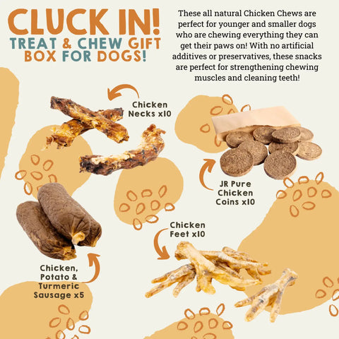 Natural Cornish Pet Chicken Deli Box - Monthly subscription box for dogs.