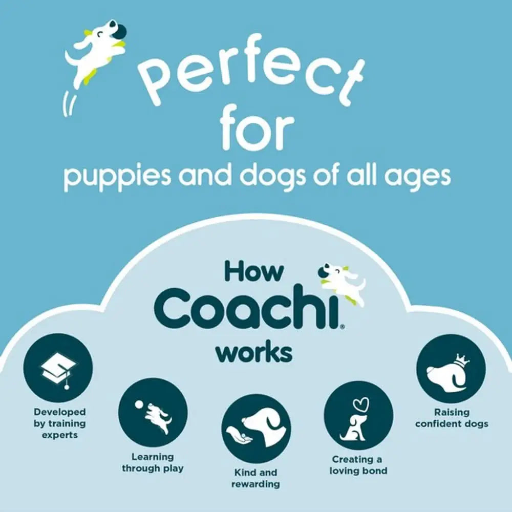 Coachi dog training app icon in CoA Coachi Training Line