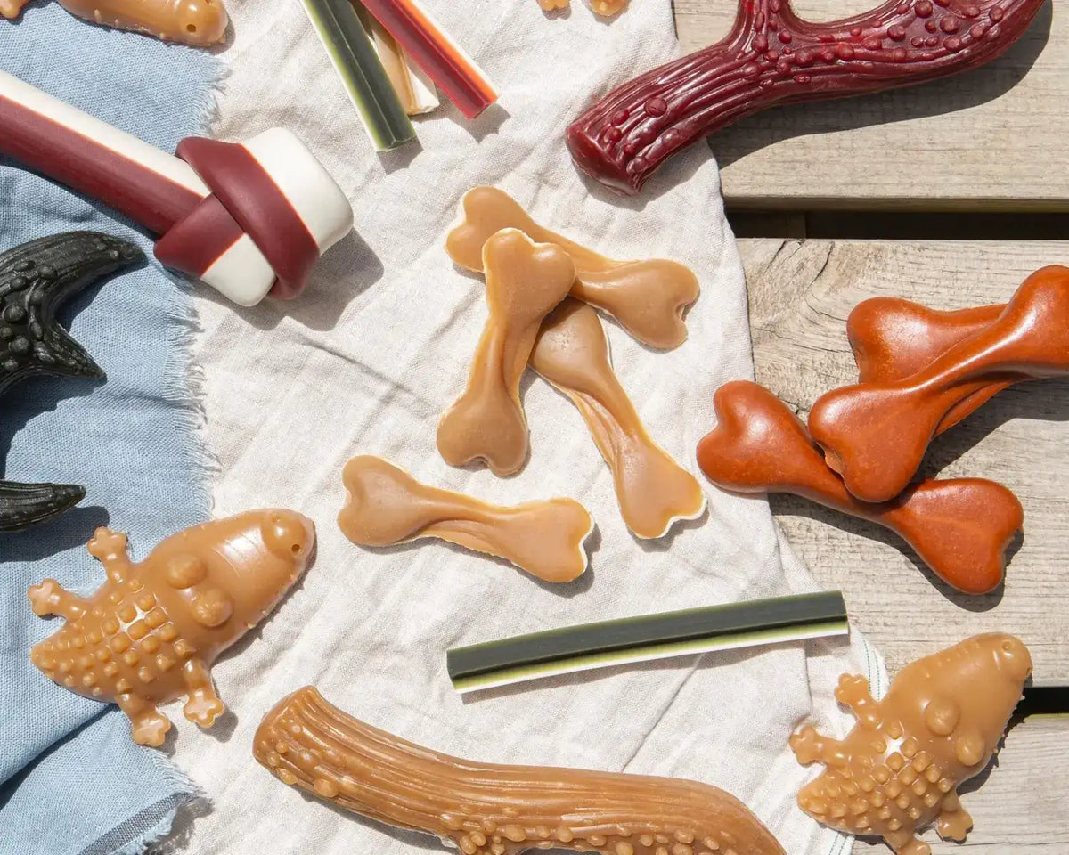A collection of chew toys in various shapes and colors, including bone-shaped treats with a glossy finish.