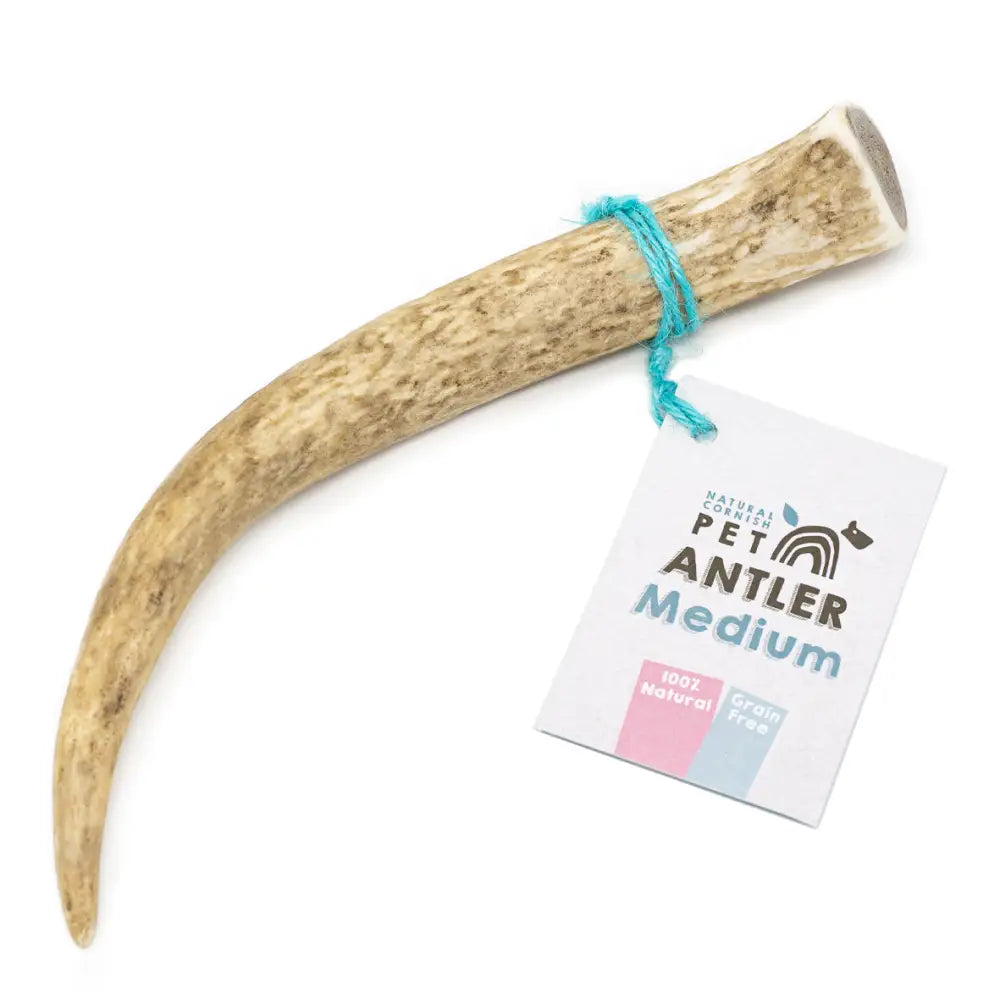 Cornish Antler for Dogs - Natural Dog Chew | Pet Shop