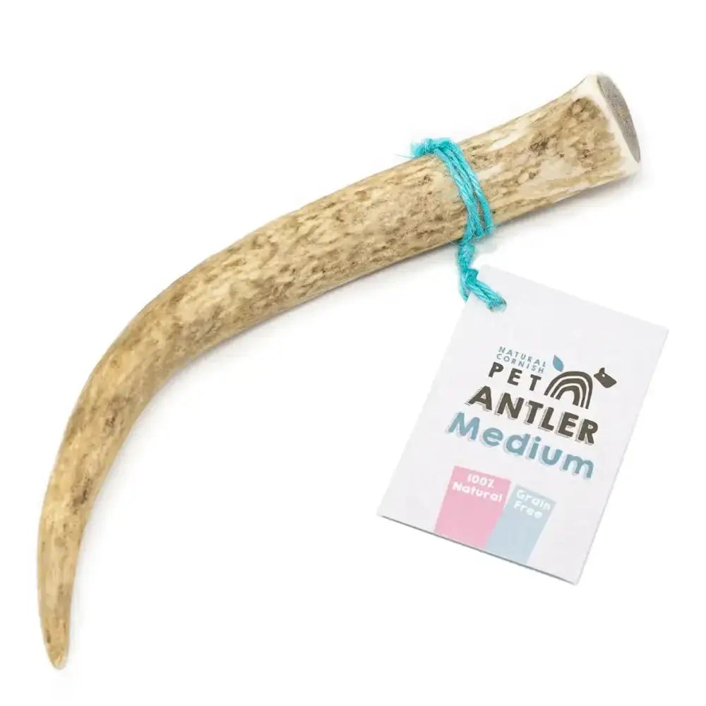 Cornish Antler for Dogs - Natural Dog Chew | Pet Shop