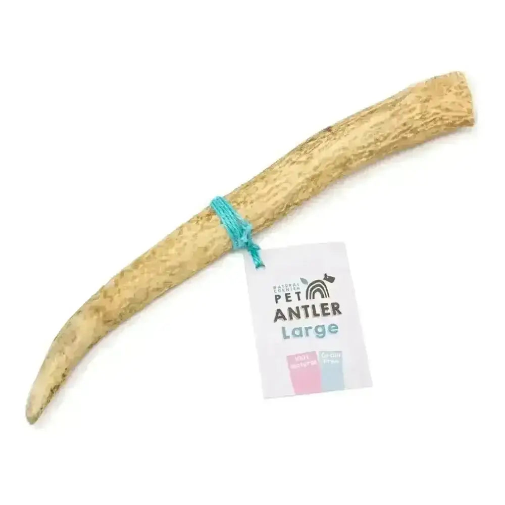 Cornish Antler for Dogs - Natural Dog Chew | Pet Shop
