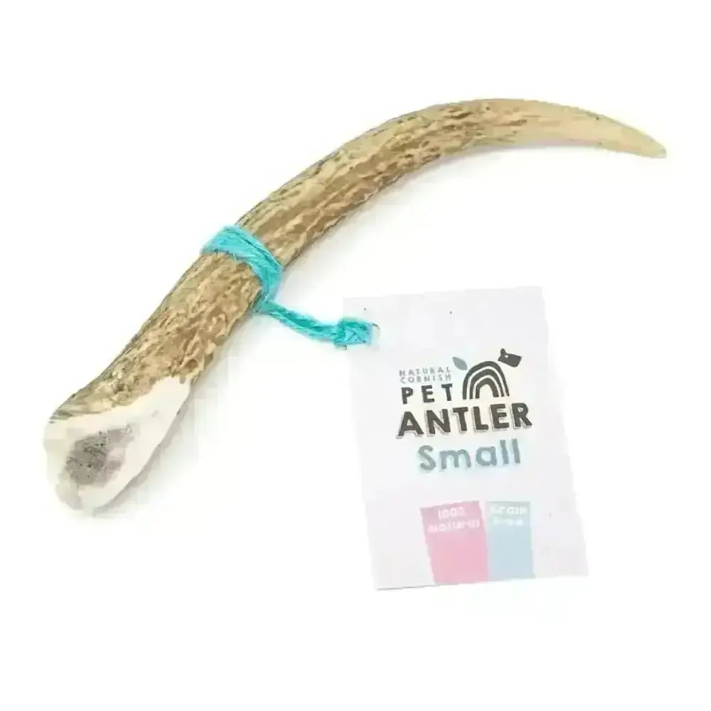 Cornish Antler for Dogs - Natural Dog Chew | Pet Shop