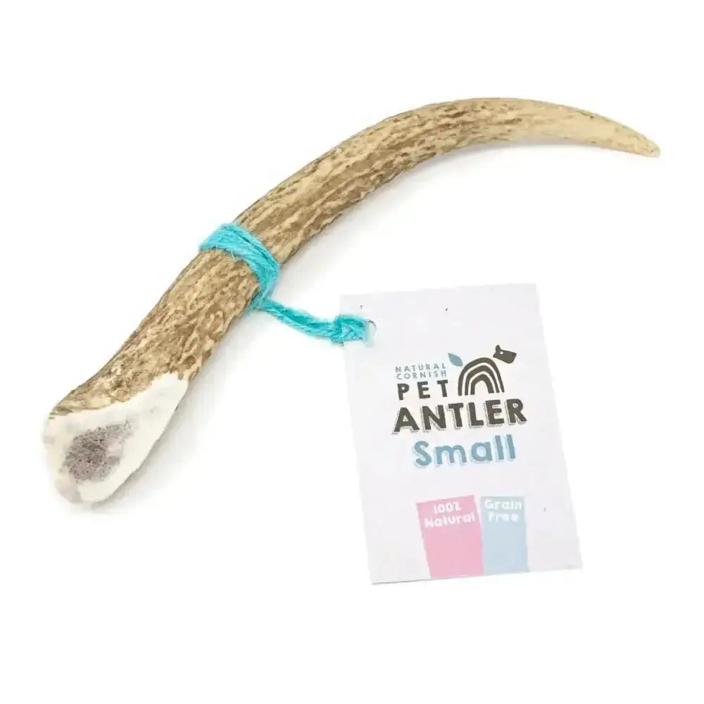 Cornish Antler for Dogs - Natural Dog Chew | Pet Shop