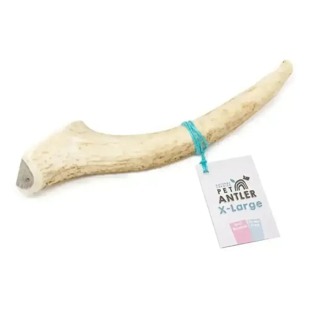 Cornish Antler for Dogs - Natural Dog Chew | Pet Shop
