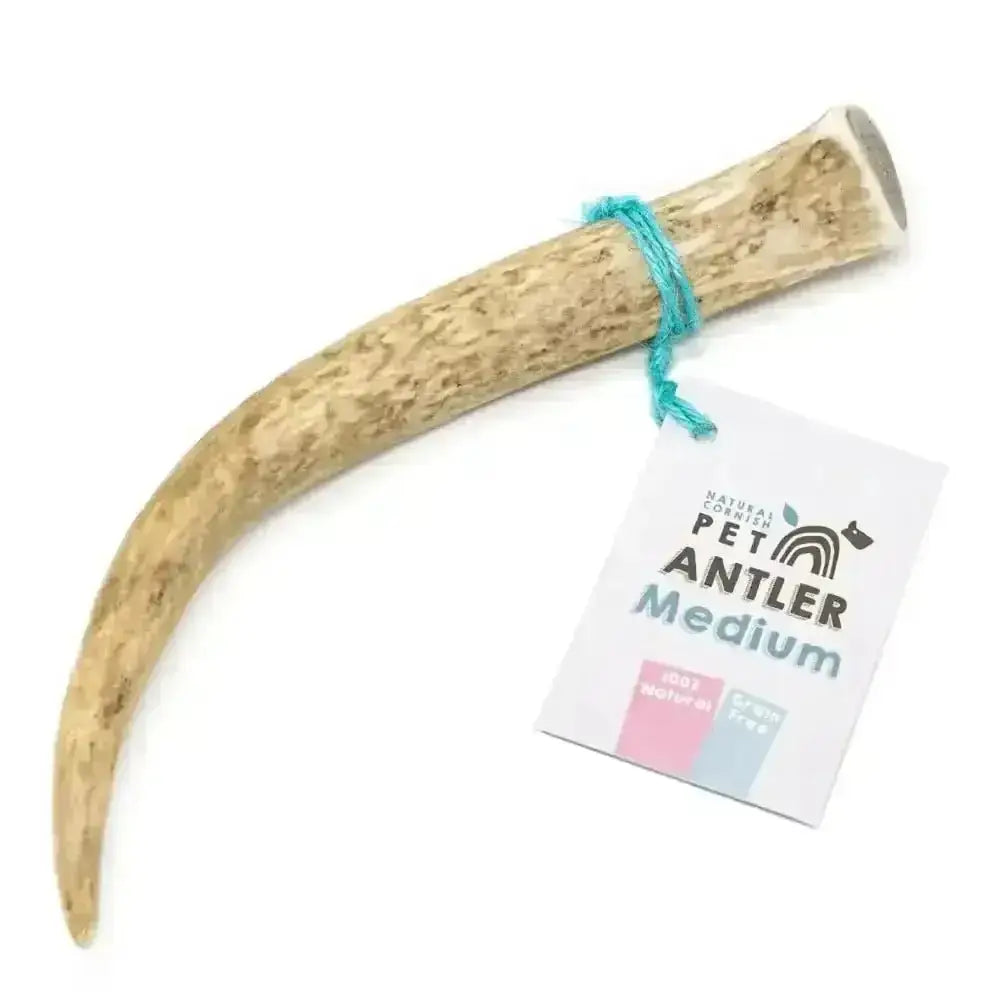Cornish Antler for Dogs - Natural Dog Chew | Pet Shop