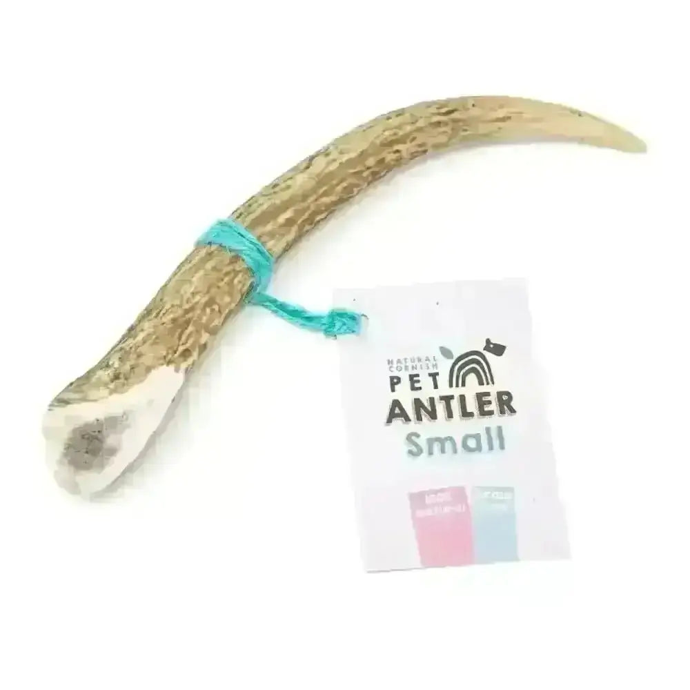 Cornish Antler for Dogs - Natural Dog Chew | Pet Shop