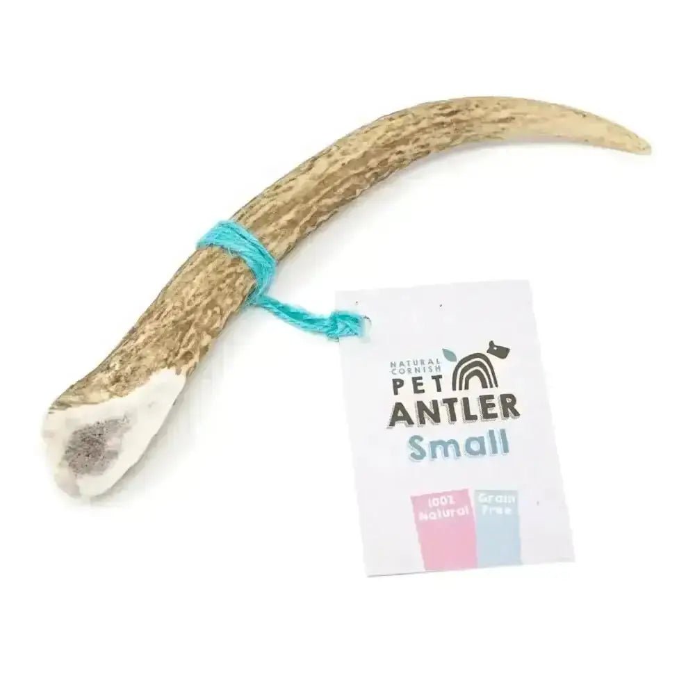 Cornish Antler for Dogs - Natural Dog Chew | Pet Shop