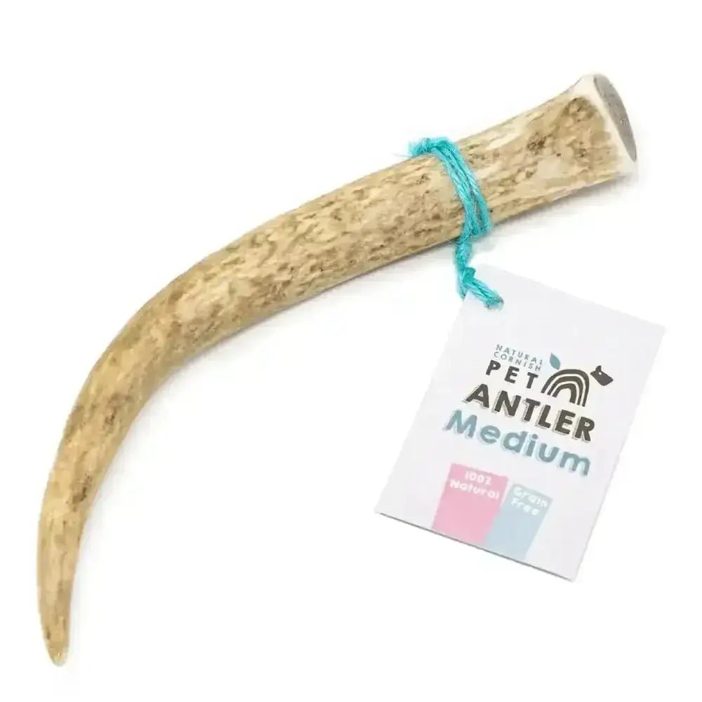 Cornish Antler for Dogs - Natural Dog Chew | Pet Shop