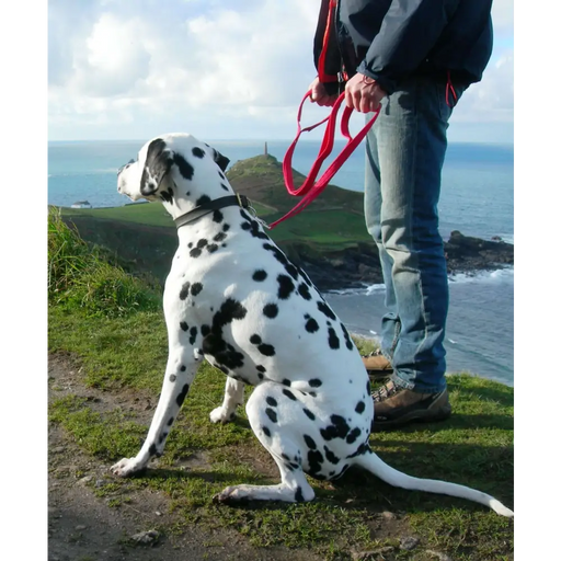 Cornish Grippy Lead - 5 Loop Beach Blue Dog Lead Dog Accessories Grippy Leads