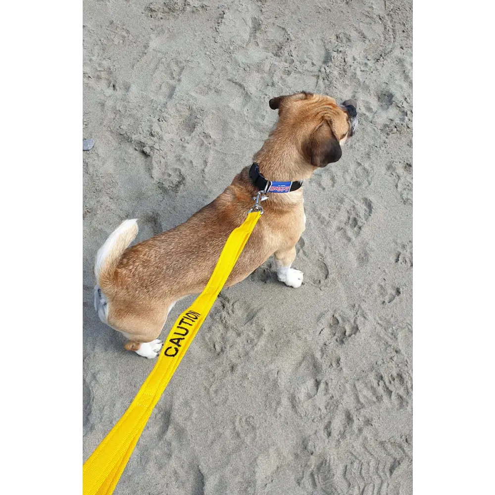 Cornish Grippy Lead - 5 Loop Caution Lead Dog Accessories Grippy Leads
