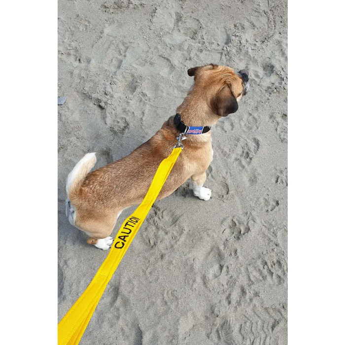 Cornish Grippy Lead - 5 Loop Caution Lead Dog Accessories Grippy Leads