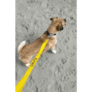 Cornish Grippy Lead 5 Loop Caution Lead with yellow cushioned webbing