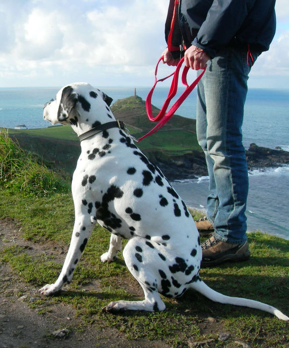 Cornish Grippy Lead - 5 Loop Mountain Brown Dog Lead Dog Accessories Grippy Leads