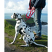 Cornish Grippy Lead - 5 Loop Mountain Brown Dog Lead Dog Accessories Grippy Leads