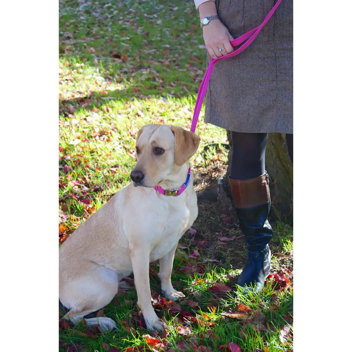Cornish Grippy Lead - 5 Loop Mountain Brown Dog Lead Dog Accessories Grippy Leads