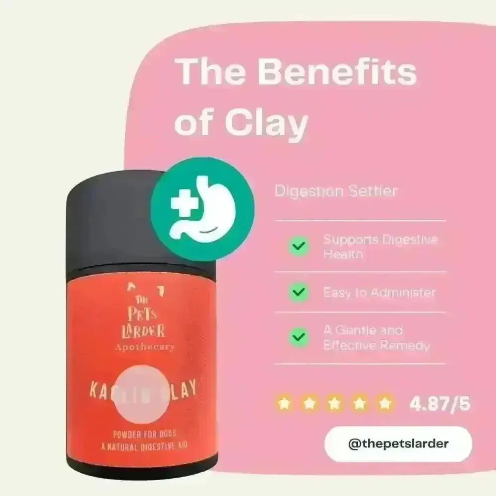 Red clay powder container with green checkmarks highlighting the benefits of kaolin clay for digestive health