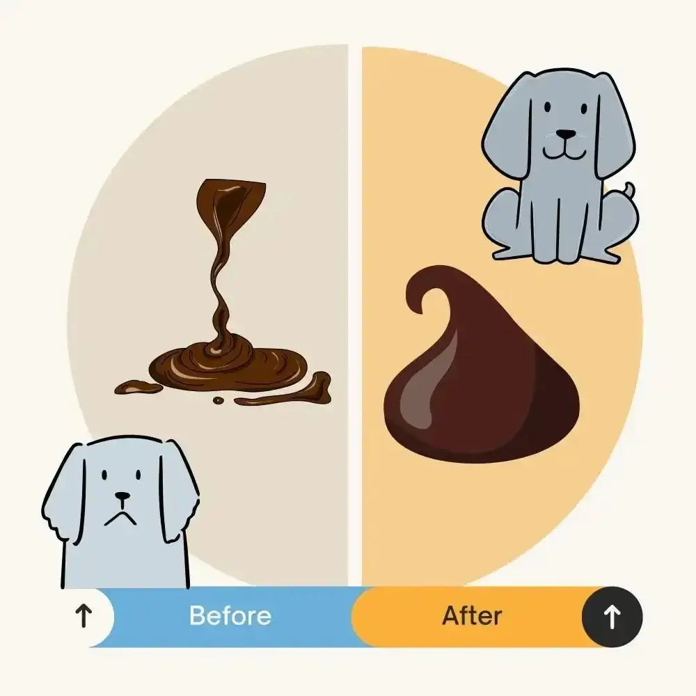 Chocolate bar with a glossy surface, illustrating Cornish Kaolin Clay for Dog Digestive Health