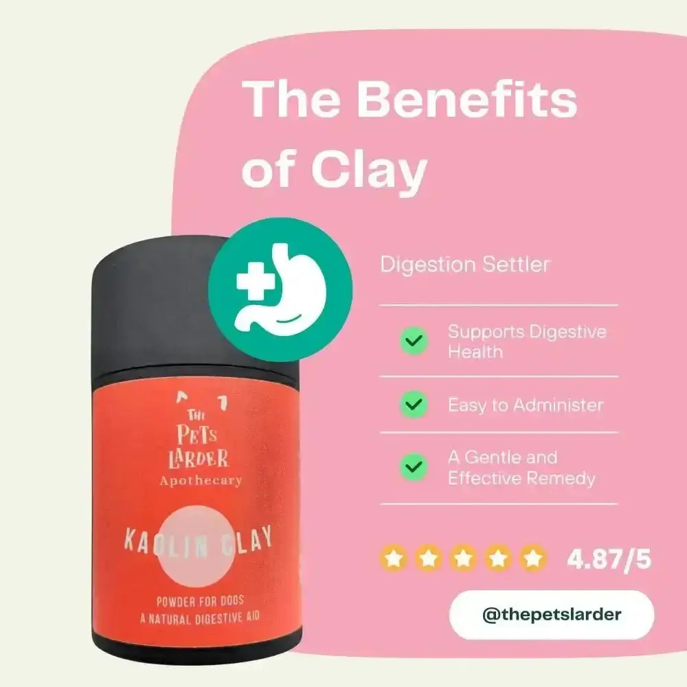 Red clay powder container with green checkmarks highlighting the benefits of kaolin clay for digestive health