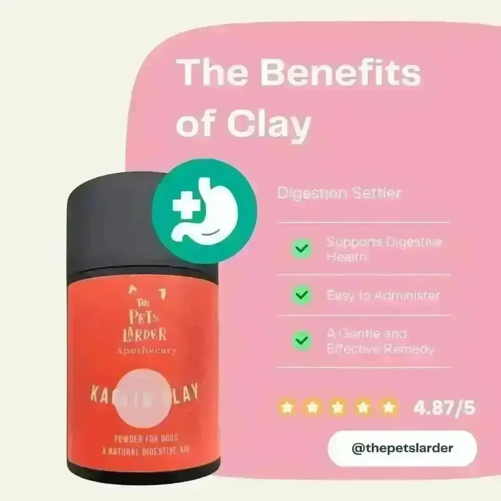 Red clay powder container with green checkmarks highlighting the benefits of kaolin clay for digestive health