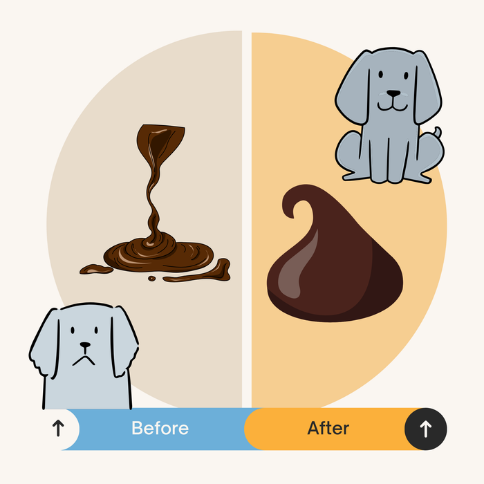 Cornish Kaolin Clay For Dogs A Digestive Remedy - Dog Supplements
