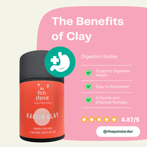 Cornish Kaolin Clay For Dogs A Digestive Remedy - Dog Supplements