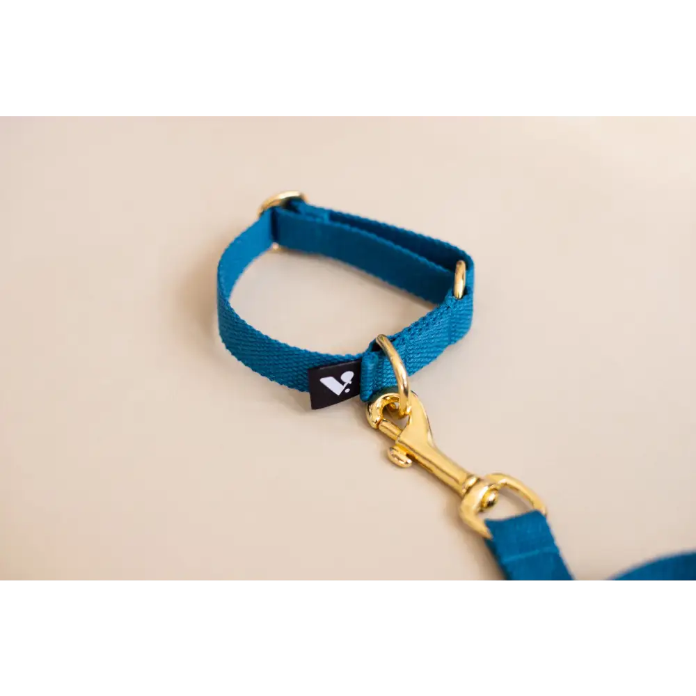 Cotton Collar - X-Small / Azure blue / Slip-on