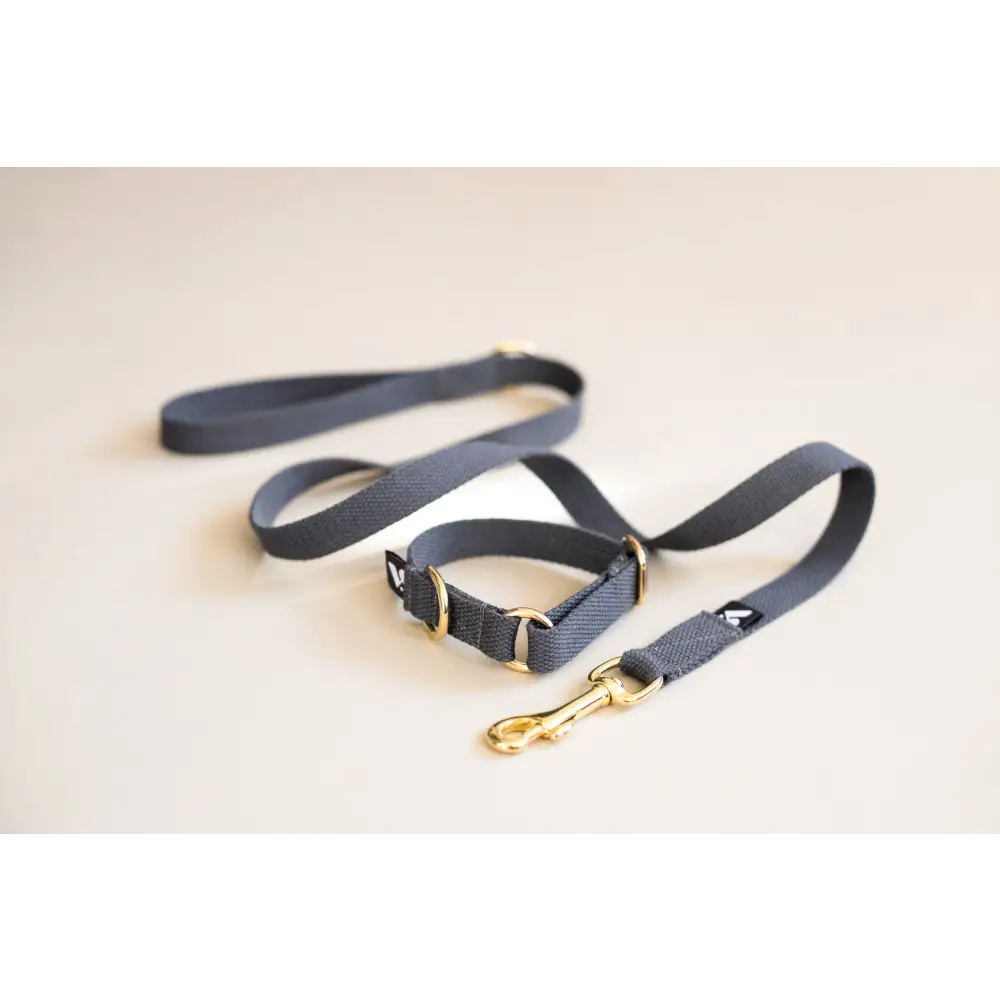 Cotton Collar - X-Small / Grey / Slip-on